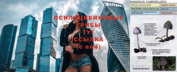 спайс Алексеевка