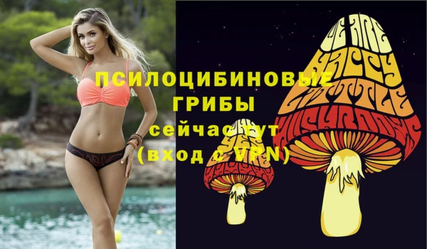 молекула духа Алзамай