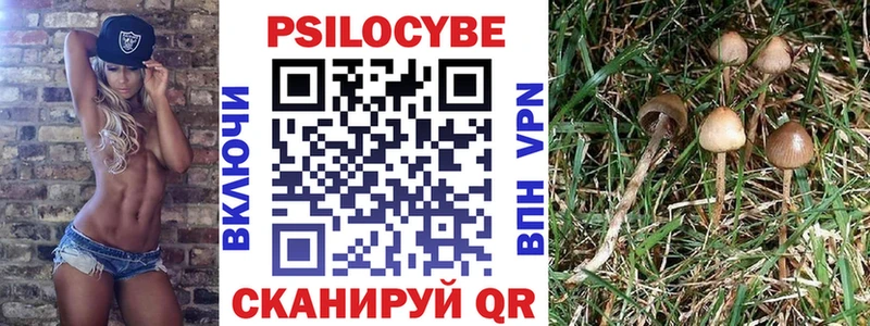 Галлюциногенные грибы MAGIC MUSHROOMS  Светлоград 