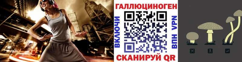 Псилоцибиновые грибы GOLDEN TEACHER Светлоград