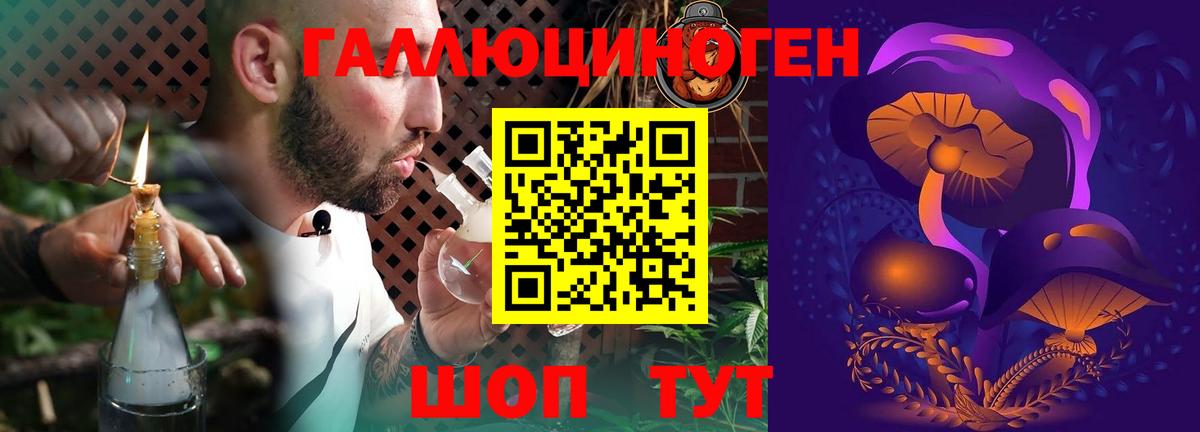 Светлоград  Псилоцибиновые грибы прущие грибы  Вход с VPN  Псилоцибиновые грибы мицелий 