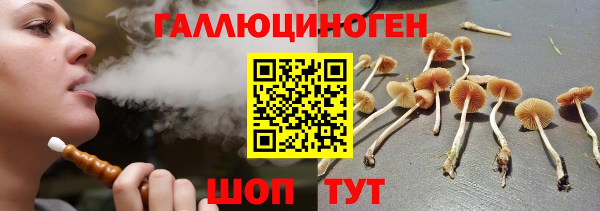 Псилоцибиновые грибы мицелий Светлоград