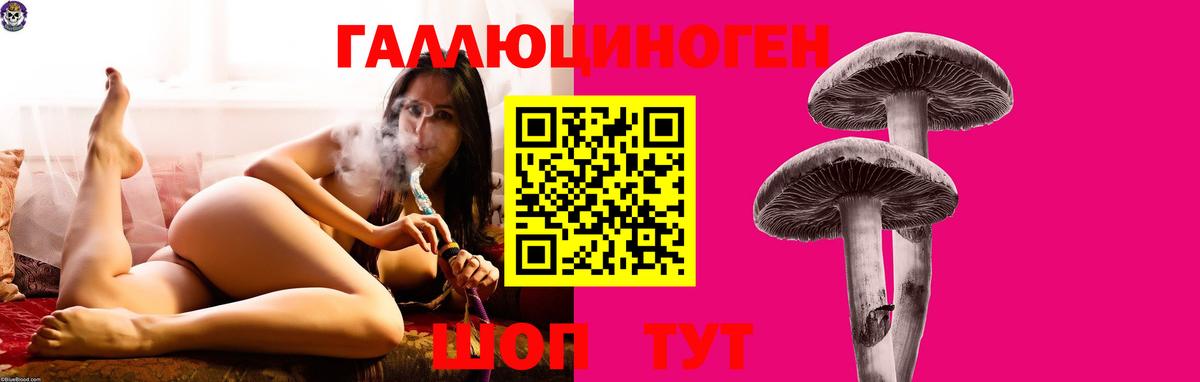 Светлоград  Псилоцибиновые грибы мицелий  Вход с VPN  Галлюциногенные грибы мухоморы 